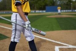 Marucci CAT 7 Silver (-5) USSSA Baseball Bat: MSBC725S -Baseball Promotions Shop CAT7Silver 6