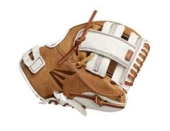 Easton Groundwork 10-inch Softball Training Glove: GW10T -Baseball Promotions Shop yjomwqjdewstalusf0gd